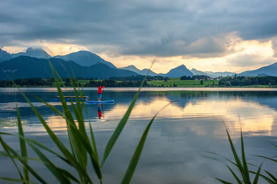 Hopfen am See | © Ruperta M. Steinwender