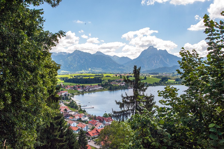 DSC_2029_Ruperta M. Steinwender_web